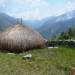 tadfranek_papuanowagwinea-0207_tf_i