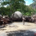 tadfranek_papuanowagwinea-0332_tf_i