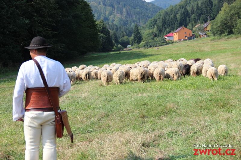 Zaolzie – zagłębie polskiej kultury