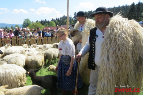 Łowce w Koszarziskach wymiyszane