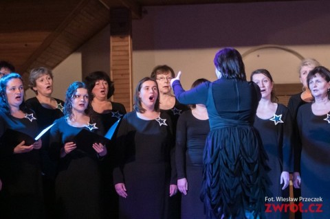 MelKoncKol2014-0381_i07