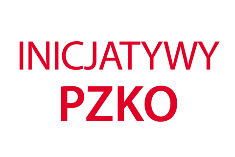 INICJATYWY PZKO – GŁOSOWANIE ON-LINE