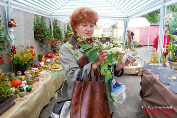 Wystawa pełna naturalnych kolorów