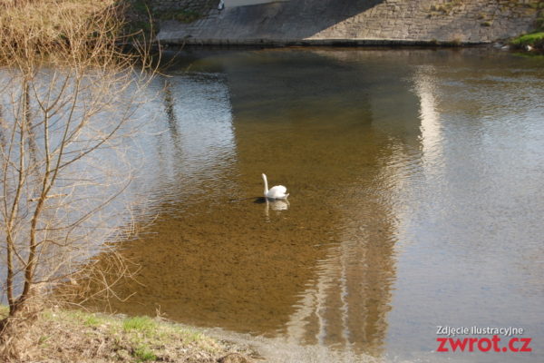 Śląsk Cieszyński w amatorskim obiektywie