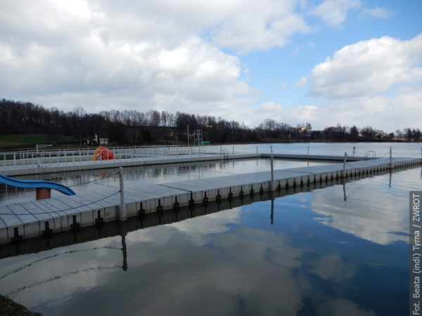 Spacery ze Zwrotem – staw Młyńszczok w Zebrzydowicach