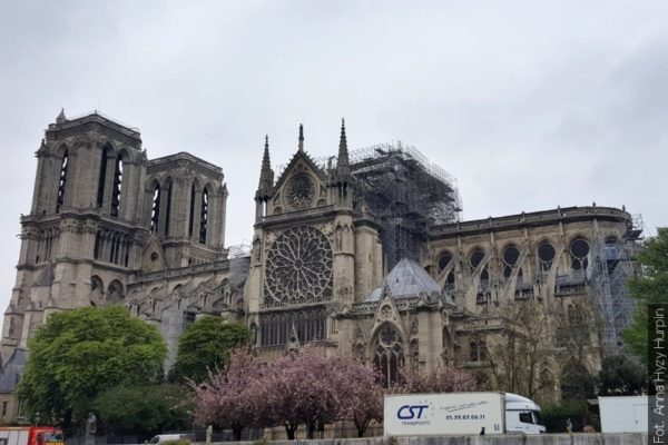 Ogłoszono zbiórkę na odbudowę  katedry Notre-Dame (zdjęcia)