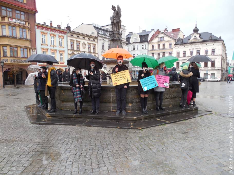 W Cieszynie młodzież też protestowała przeciwko zmianom klimatu