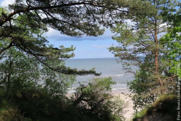 Odkryj Polskę w Ostrawie. Zbliża się festiwal Dovolená 2026