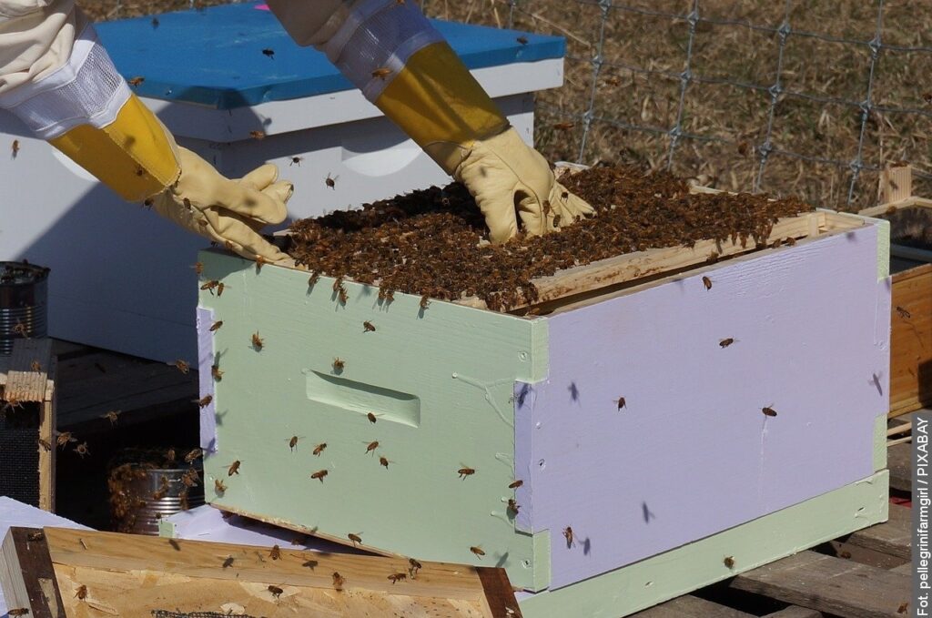 Stonawa wesprze finansowo pszczelarzy