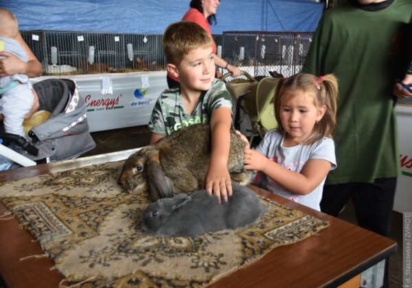 Kury, króliki i ptaki egzotyczne prezentowały swoje wdzięki w Jabłonkowie