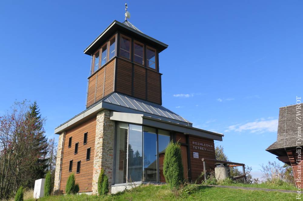 Spacery ze Zwrotem: wieża widokowa Cietrzew (Tetřev)