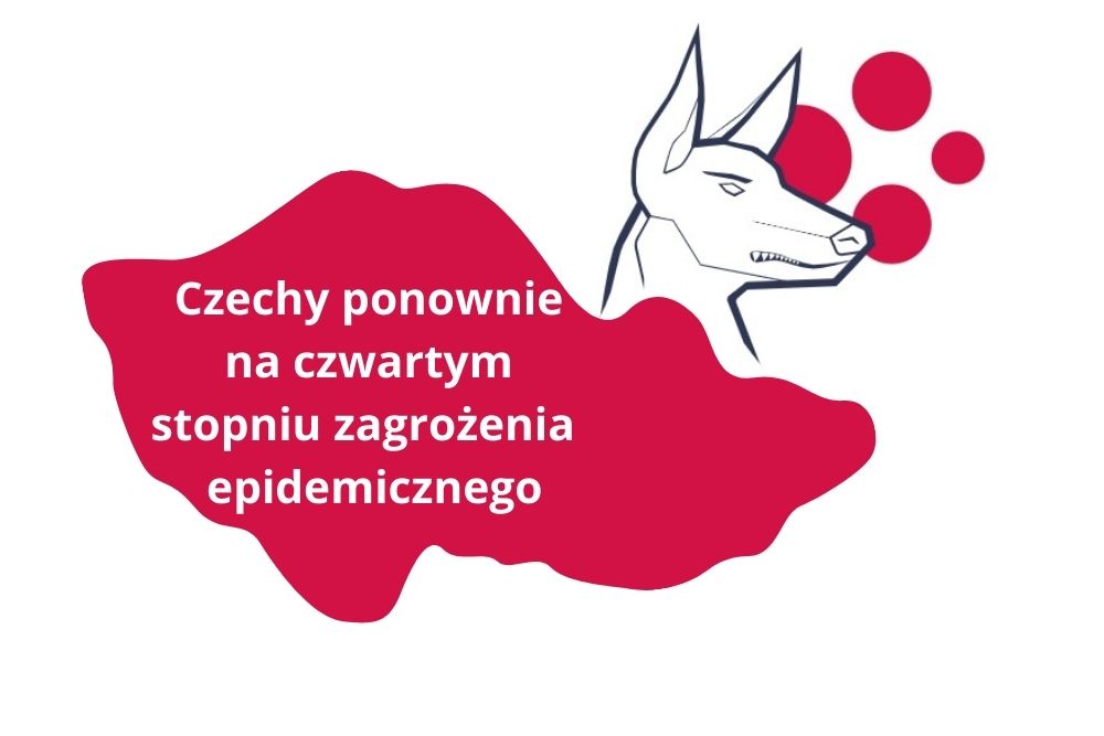 Restauracje ponownie zostaną zamknięte, wakacje świąteczne będą przedłużone