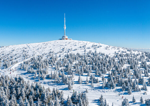 Koronawirus – zabójca turystyki