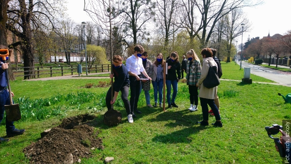 Uczniowie gimnazjum w Czeskim Cieszynie zasadzili drzewo im. Juliusza Słowackiego