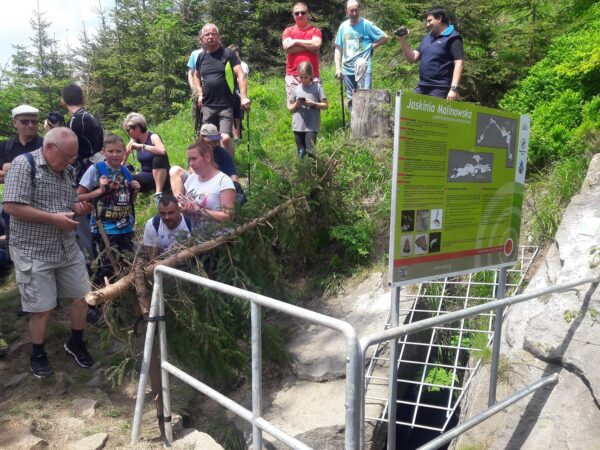 Wycieczka do Jaskini Malinowskiej na spotkanie z jej mieszkańcami