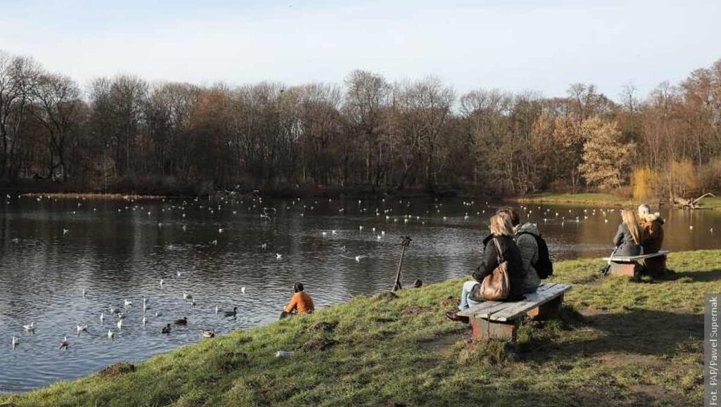 Nowy Rok z rekordowymi temperaturami. Najwyższa w Warszawie