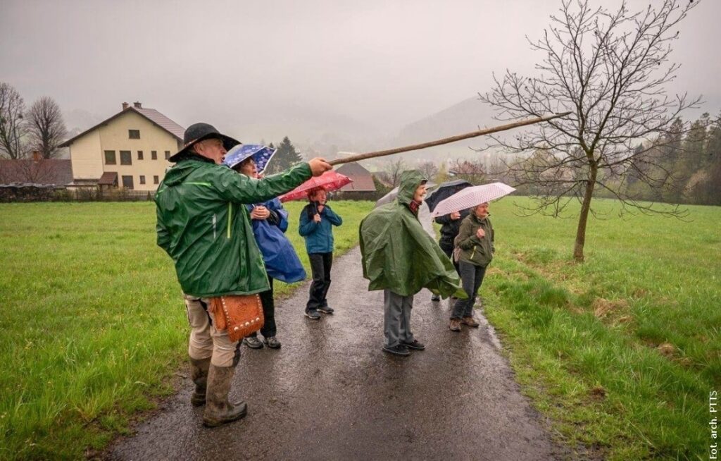 „Beskidzioków” wędrówki przyrodnicze po Nydku. Mimo niesprzyjającej pogody warto było!