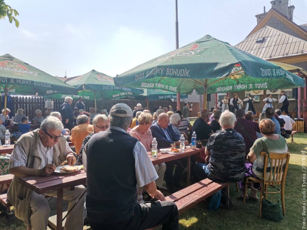 Pogoda „w kratkę”, atmosfera jednoznacznie słoneczna. Festyn ogrodowy w Orłowej-Porębie był udany