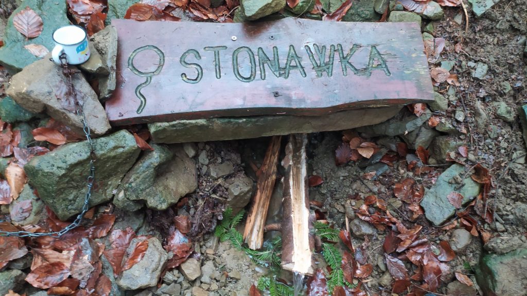 Wycieczka do źródła Stonawki