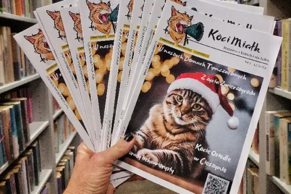 Bezpłatne czasopismo „Koci Miałk” dostępne w cieszyńskiej bibliotece