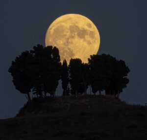 W nocy nastanie pierwsza letnia pełnia Księżyca. Będzie wyjątkowa, ponieważ najniższa od 18 lat