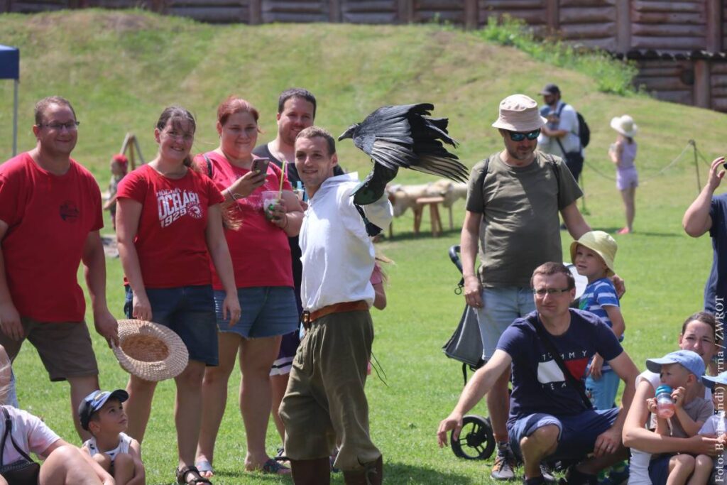 Niezwykle atrakcyjne i widowiskowe były pokazy sokolników, a latający tuż nad głowami publiczności kondor wzbudzał ogromne zainteresowanie odwiedzających tego dnia Podoborę