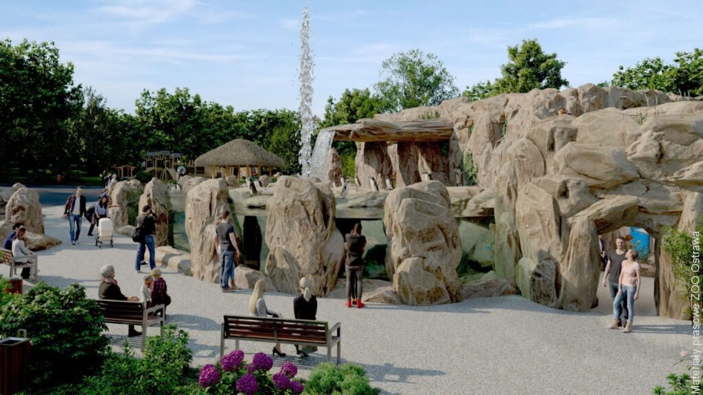Pingwiny ruszają do Ostrawy! Zoo czekają duże zmiany