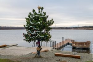 Świąteczne Drzewo Życzeń znów rozświetli Karwinę. Każdy może pomóc