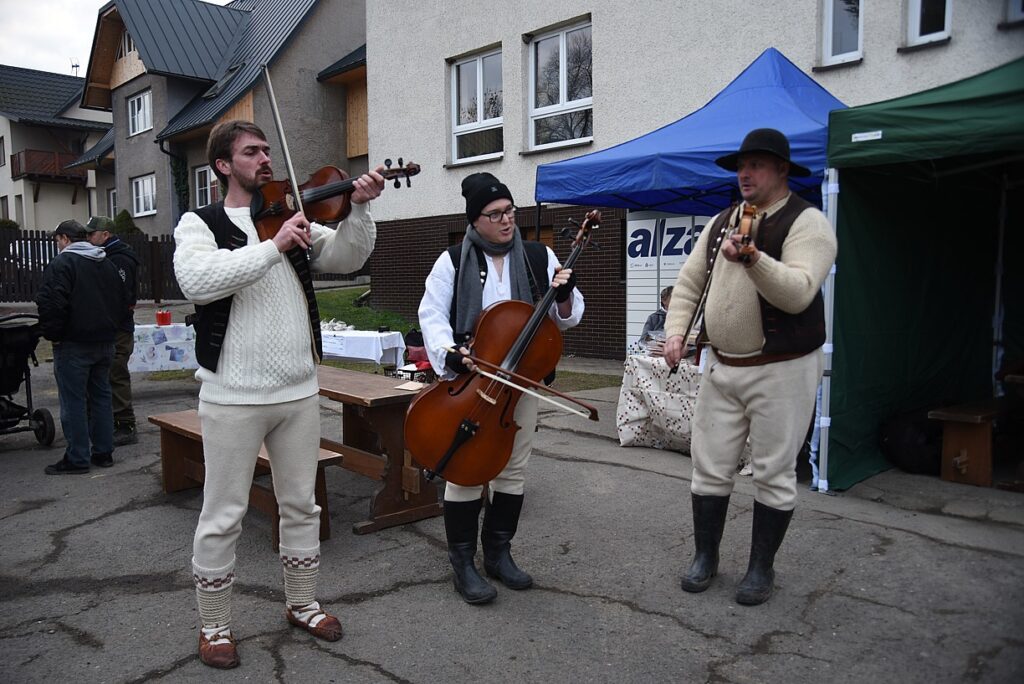 Lama i wielbłąd w Mostach koło Jabłonkowa. Tradycyjna żywa szopka w centrum