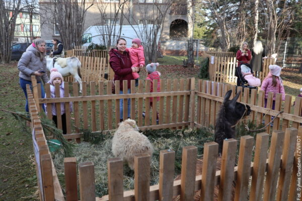 Żywa szopka w Trzyńcu. Muzeum pełne dzieci i świątecznej atmosfery