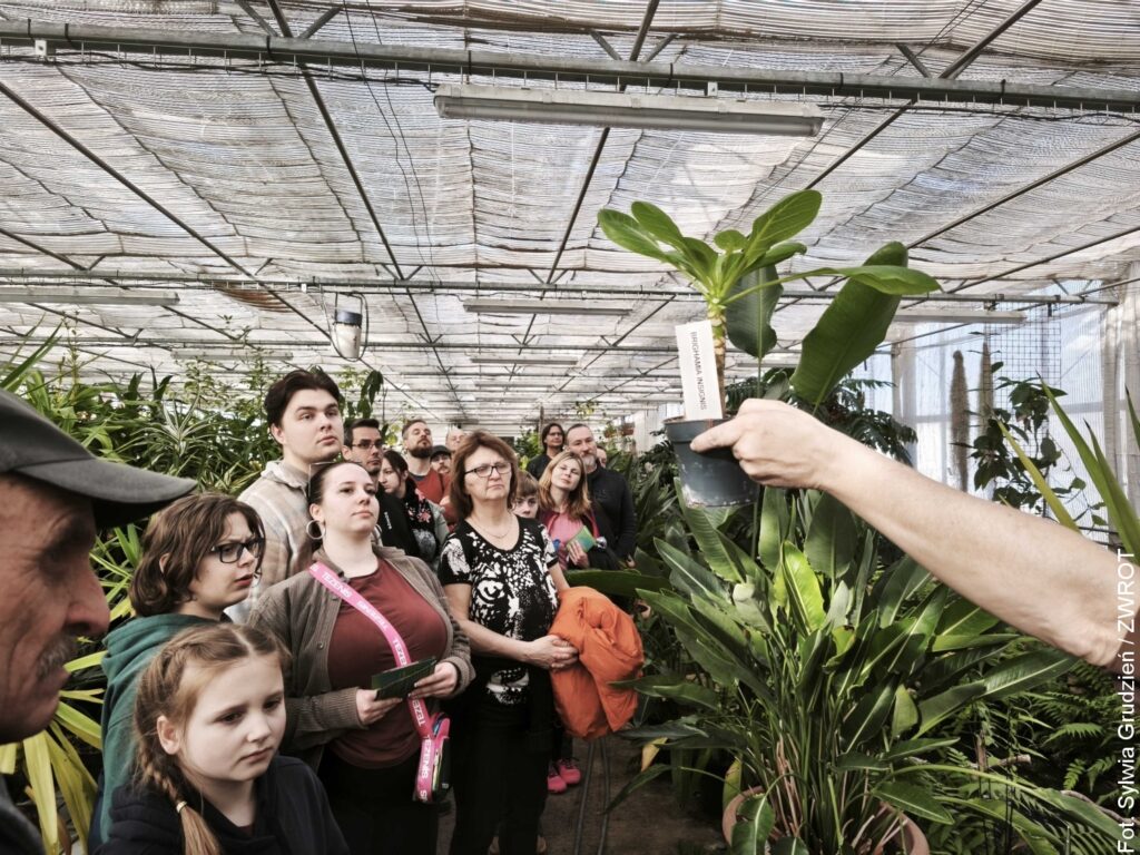 Za kulisami Zoo w Ostrawie. Wiosenne oprowadzania wśród bonsai
