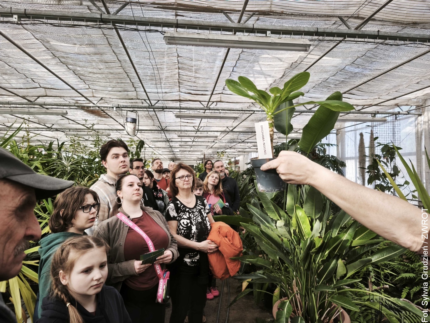 Za kulisami Zoo w Ostrawie. Wiosenne oprowadzania wśród bonsai
