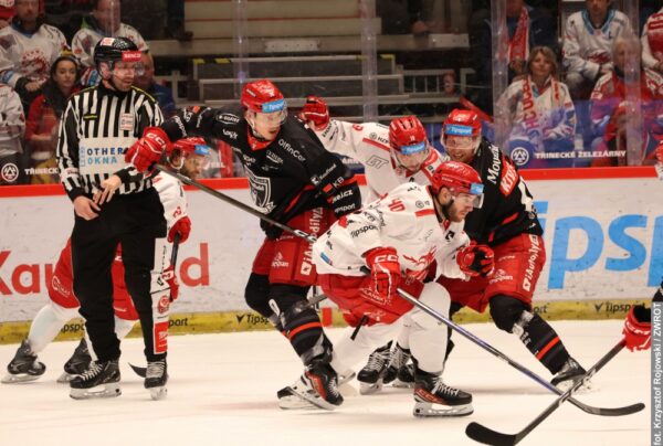 Na czterech meczach się nie skończy. Porażka Stalowników z Hradcem Kralowe