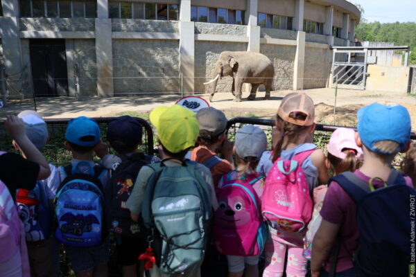 Dzień pełen wrażeń. Przedszkolaki z Czeskiego Cieszyna odwiedziły zoo