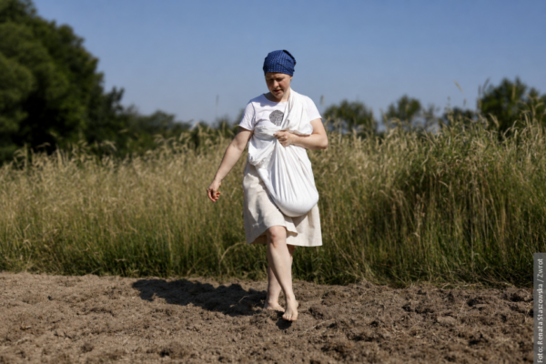 W Mostach koło Jabłonkowa znów sieją krzycę. Tak kiedyś gospodarowano w Beskidach