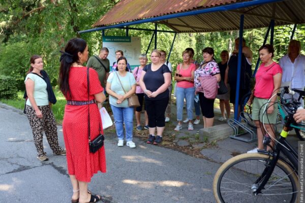 Co kryje arboretum w Jabłonkowie? Rzadkie drzewa, rzeźby i niezwykła historia