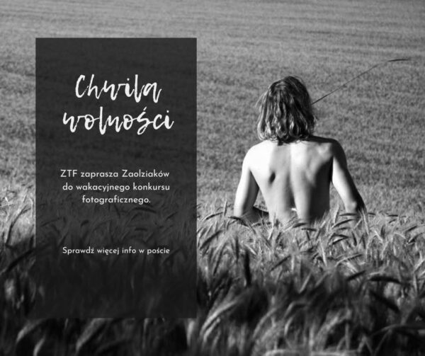 „Chwila wolności” w obiektywie. Zaolziańskie Towarzystwo Fotograficzne zaprasza do konkursu