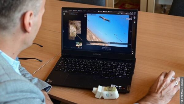 Świat z grzbietu bociana. Ponad 10 tysięcy zdjęć z migracji do Afryki